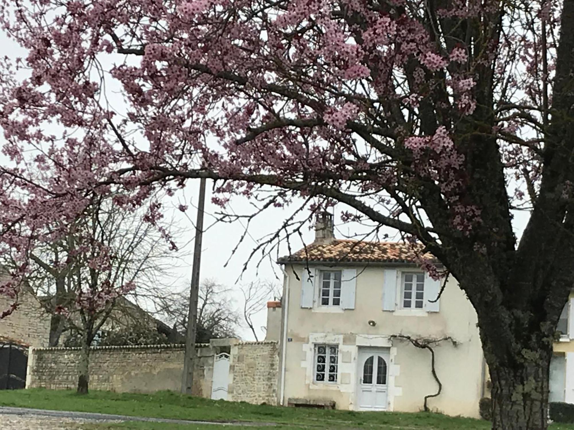 La Maison De Josephine Montignac-Charente Luaran gambar